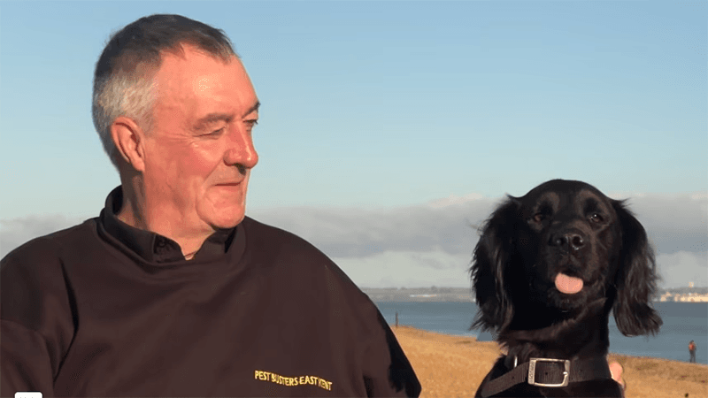 Bedbug pest control in Thanet and East Kent