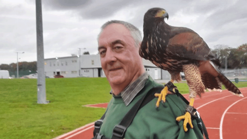 Carl — Owner & Lead Technician