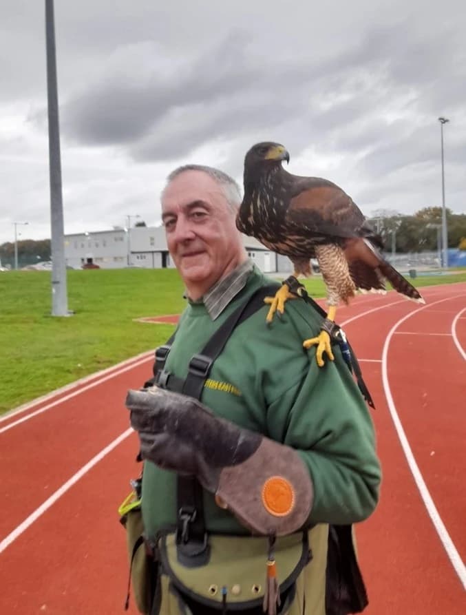 Pigeons Service Hero Image